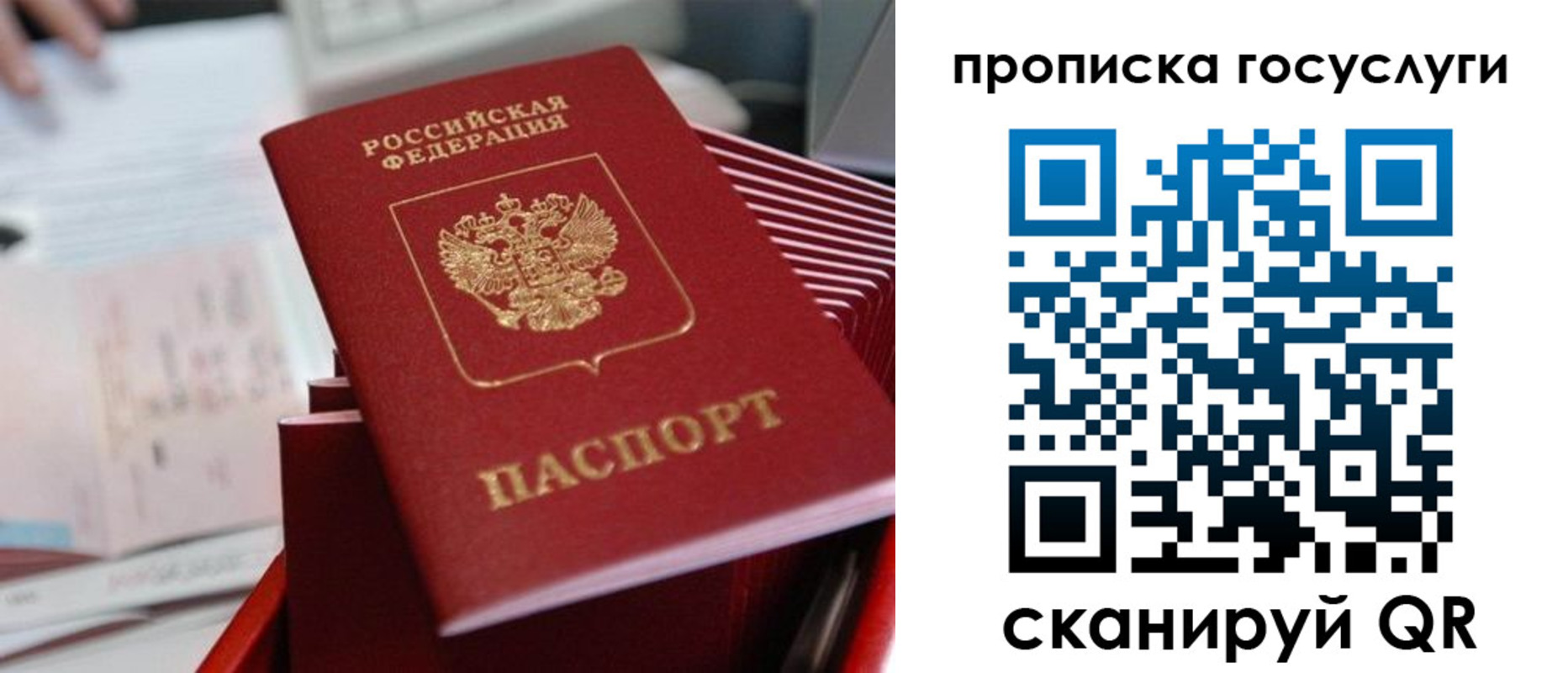 прописка законно в Амурске